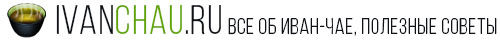 Иван-Чай: способы применения, полезные советы