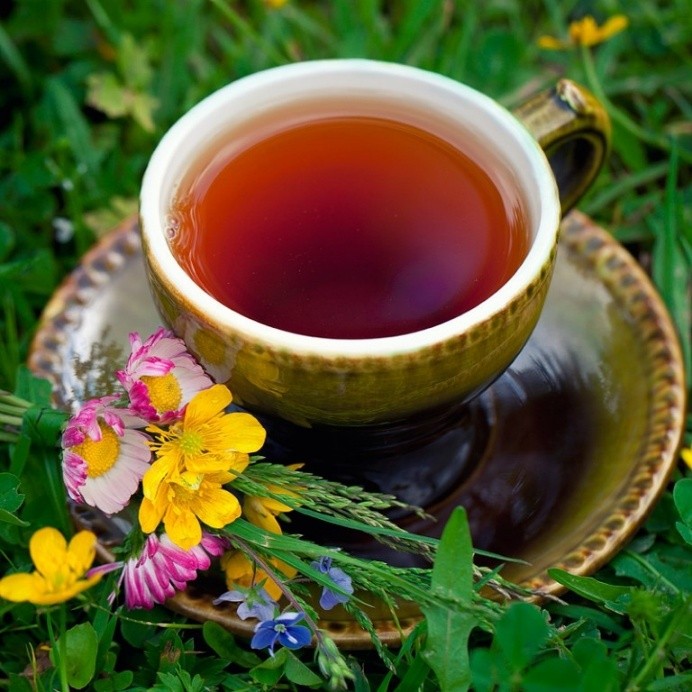 Иван-чай для женского здоровья: показания и противопоказания