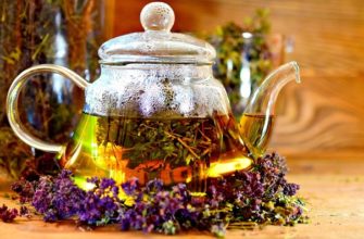 Обладает ли иван-чай мочегонным эффектом, его польза для почек