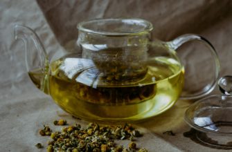 Зеленый чай - свойства и влияние на организм