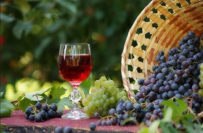 Полезная виноградная настойка