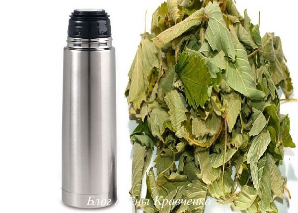 Чай из листьев клубники