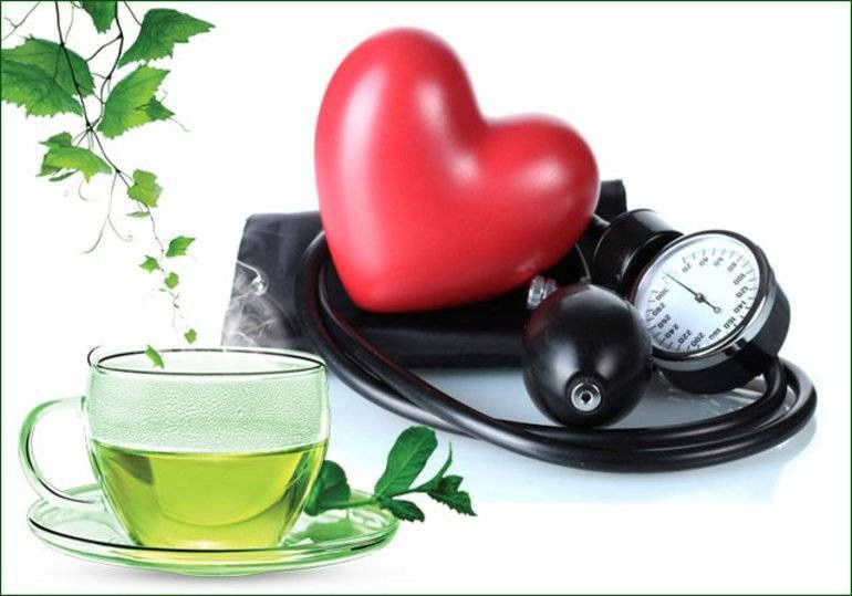 Зеленый чай повышает или снижает артериальное давление: польза и вред для организма, правила употребления, способ приготовления, побочные эффекты