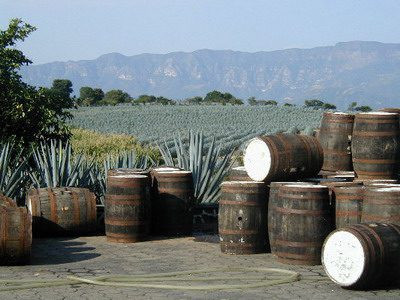 Приготовление настоящей мексиканской текилы из самогона