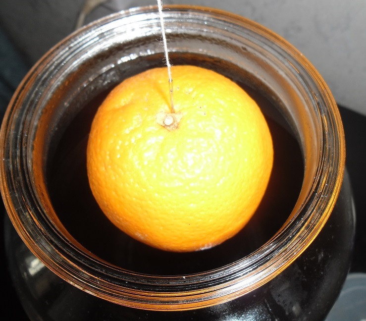 фото домашней апельсиновой настойки с висящими фруктами