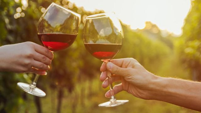 Бокалы с красным вином в руках на фоне виноградников