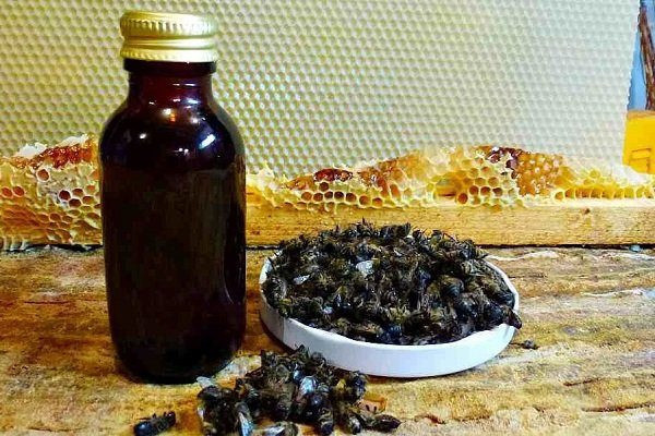 Настойка пчелиной лекарственной подмора
