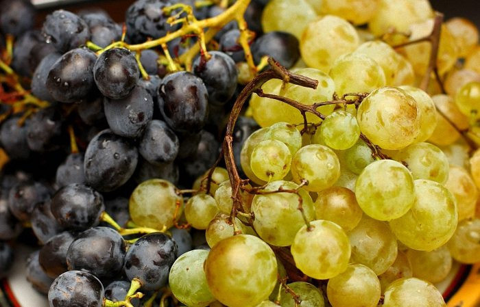 Из каких французских и кубанских сортов винограда делают коньяк